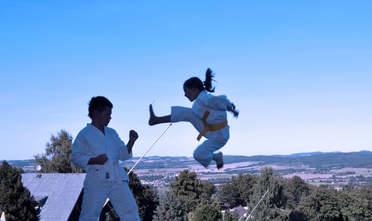 http://www.karate-live.com/tobi-geri/vote/28